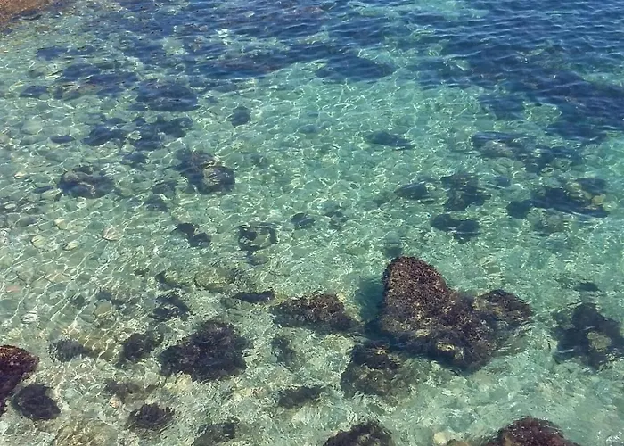 Tarongers 6 Peñíscola