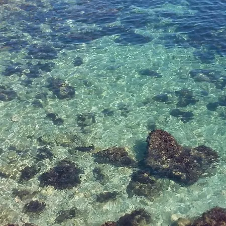 Tarongers 6 Peñíscola